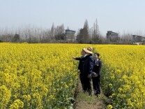 常德市农商银行系统：靠前保障金融服务 施足春耕备耕“底肥”