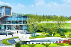 5天4城，一场对标先进的思想突围与行动革新