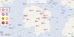 一键阅尽潇湘花 湖南赏花地图查询平台上线