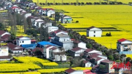 出发，探寻洞庭福地里的“油”画世界