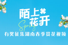 有奖征集！新湖南邀你分享赏花视频，赢中国体彩大礼包