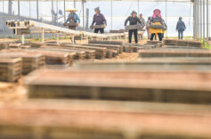 理论·智库｜推动农文旅深度融合 奏出绿色发展和美乐章