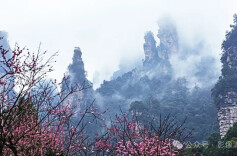 最后7天！89个奖项！第七届航拍武陵源影像创新大赛即将收官