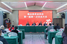 衡山县茶业协会成立