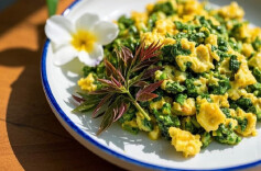 美味会同 | 寻香椿、赏花海，品味舌尖时鲜