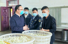 张岳平“四不两直”督导“校园餐”工作