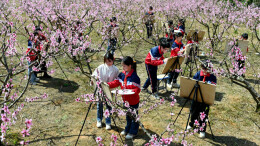 读报|3月26日《科教新报》速览