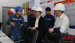 市政协主席牛顺生来通道调研新能源产业发展及政协履职情况