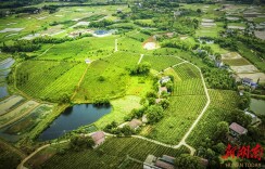 洞庭故里叙乡情