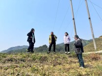 省茶叶产业技术体系湘西（怀化）试验站团队赴通道开展调研指导