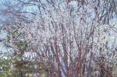 翻越山梁，打通金融服务“最后一公里”