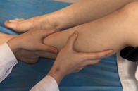 春分至，春困扰？中医三招助您元气满满！