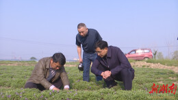 王启武调研督导镇（街道）当前重点工作