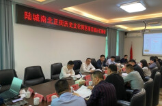 陆城南北正街历史文化街区项目设计汇报会召开