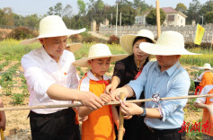 长沙市麓山高岭实验学校开展跨学科主题劳动实践活动