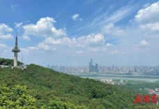 春日喜登岳麓山