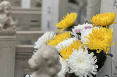 资兴民政：心愿寄情 让清明祭祀“轻”装上阵