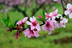 去“博士村”看“博士墙”