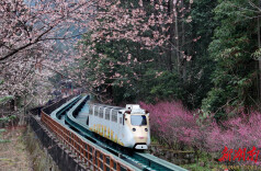 清明假期周边游订单大涨 湖南这5个景区最热门