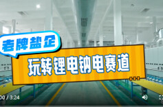 国企向“新”｜老牌盐企，玩转电池正极材料