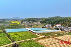 韶山锡芝农机专业合作社：农机“创客”智耕现代农业沃土