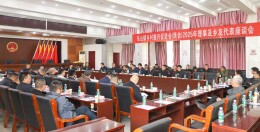 凝心聚力绘蓝图 乡情共筑展新篇 东山镇乡村振兴促进会（商会）2025年理事及乡友代表座谈会召开