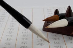 曾国藩与杜凤治：官场日记写给谁看