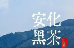 安化黑茶：一种历史和文明的镜像