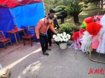 【清明•礼祭】鲜花换纸球！南县免费送鲜花助文明祭扫