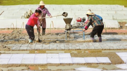 湖南日报·视觉丨资兴秧苗田里春潮涌