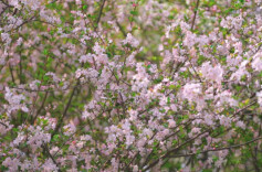 小众也能出大片！快来打卡！