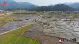 江华：农机奏响春耕曲 早稻移栽正当时