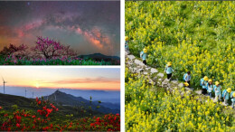 有点好看！四月，湖南开启“花事霸屏” 