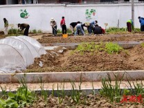 龙山县第六小学：校园春耕育新苗，劳动实践促成长