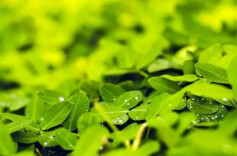 清明时节，让我们致敬英烈