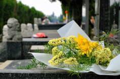 民政部：今天全国接待现场祭扫群众3302.61万人次