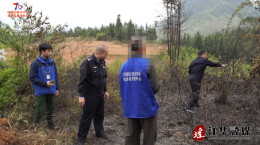 江华查处多起清明期间森林火灾案件