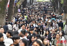 清明假期湖南接待游客近2000万人次 客流量前五是这几家景区