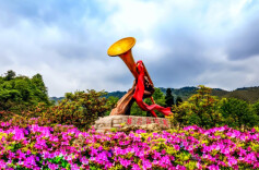 杜鹃泣血映山红，湘魂永铸井冈山