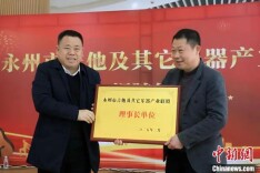 湖南东安打造“吉他之乡”文化IP