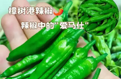 长沙公示一批食品安全抽检不合格名单 看有你爱吃的吗