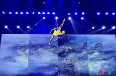 湖南杂技艺术为何饮誉海内外？