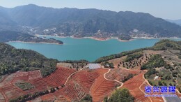 东江湖兜率岛生态农业示范园：探索农旅文产业融合发展新路径