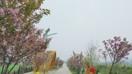 奋战项目建设年 | 打造“科普+研学”教育平台 会同九洞野外宣教点项目预计本月底竣工