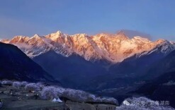 北纬29°之约：告别湖南油菜花，一头扎进林芝桃花堆！