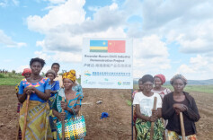 从非洲田间到中国市场！湖南这家企业带你尝遍非洲味道……