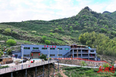 甘泉山茶业：十年茶韵酿甘醇 一片绿叶兴乡村