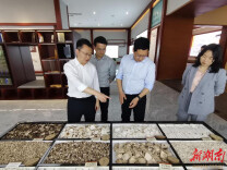 永顺经开区：精准招商激活产业动能