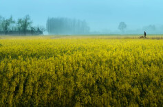 在湖南，雨天拍什么、怎么拍？这里有答案