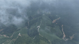 江华桥市乡将军冲村：云雾绕茶山 美景入画来